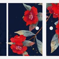 没有眉峰的人怎么样 性格孤僻不喜交际