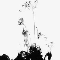 2023年3月1日出生的女宝宝命格查询,是什么命五行属什么