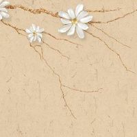 车牌号几个字母好 最好不要超过两个