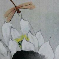 一个手机号三个天医 大吉大利的手机尾数号组