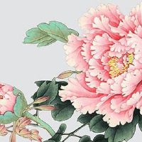 手掌有竖纹的女人命运 钱财储蓄能力有待加强