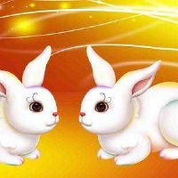 1987年属兔人2022年多少岁 2022年运势及运程如何