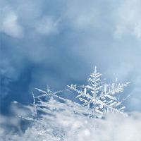 梦到狗狗对于我尤其啪啪是