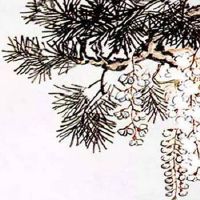 客厅屏风隔断效果图片大全 木质屏风隔断利于财运