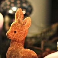 清明节也叫寒食节对吗？
