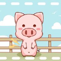 2022年9月属猪人学业运势如何 怎么提升 集中精力成绩大好