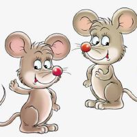 2022年几月份出生的生肖鼠将来能赚大钱