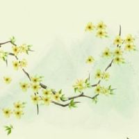 八字带什么必定大富大贵 事业小有成就财运佳