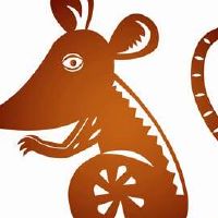 96年的属鼠人在哪一年添丁才是最好的