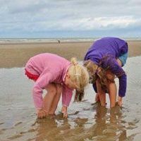 象征纯洁的女孩名字