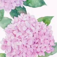 二手车店起名字招财 时尚高级旺铺起名