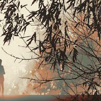 02年马女和什么属相最配 天生一对情侣恩爱