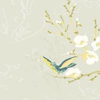 车牌号最旺财的尾数3 增强自身财运驱散霉运