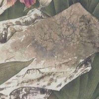 天医数字能量学吉凶 盘点好运吉祥的手机尾数