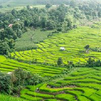 一听就是帅气能力又强的男孩名字