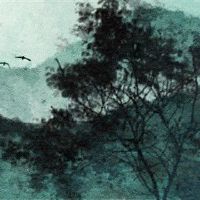 五行缺木最旺的行业 豁达木性爱好和平