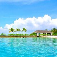 生肖牛与什么生肖在一起会诸事不顺