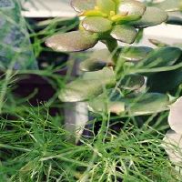 86虎男92猴女相爱一生