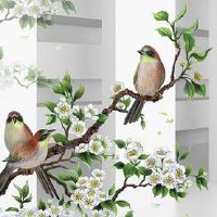 车牌号不能有哪些数字 5与7皆为不吉之数