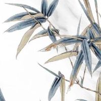 大贵之人看神不看相 福泽深厚好运气眷顾