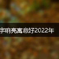 男孩的名字响亮寓意好2022年