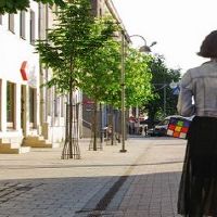 1996男鼠1998女虎相配吗