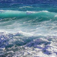 2023年属牛人在那些月份上可以提升金钱运势