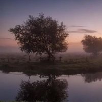 处女座和什么星座是注定的星座婚配