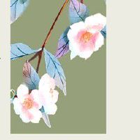 92年猴男和91年羊女相配吗 长久和睦温馨浪漫