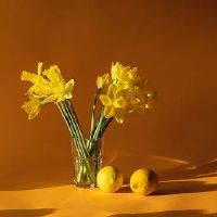 阳台上种葡萄有什么需要注意的风水问题