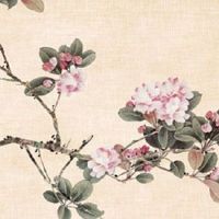 财运好的八字格局 财星旺盛气场强大