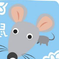 生肖鼠最不适合与什么属相的人在一起