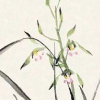 流年寅亥合主婚姻 女命寅亥合感情旺盛