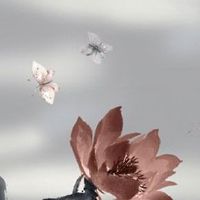 69车牌号码什么尾数好运 69组合利于车主运势稳定