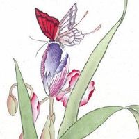 2022年11月20日出生的男宝宝取名 男孩起名的最佳宜用字