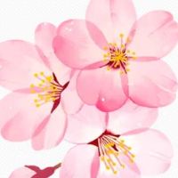 个体户取名字大全 寓意吉利大气店铺取名