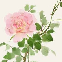 手机号属水的数字是多少 招财富贵的水属性尾号