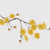 2022年11月13日提车好不好 农历十月十九可以买新车吗