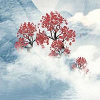 手机号伏位加禍害磁场分析 助运旺财的手机尾号