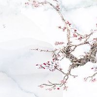 2022年11月2日是什么日子 农历十月初八适合动土吗