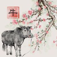 97属牛女在2022年姻缘怎样 姻缘际会遇良人