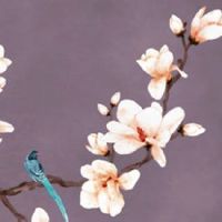 火命的人适合做什么生意 找对行业事业兴隆财运升高