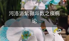 河洛派紫微斗数:讲述如何从命理角度分析和预测各类疾病的影响与解决方案