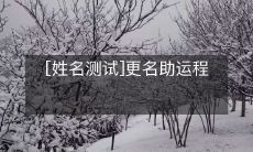 如何利用“姓名测试”来助力个人运程的更名建议？