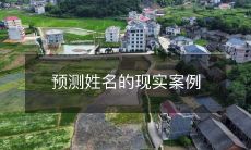 现实案例:利用数据分析预测人名的准确性