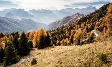 在2021年3月22日，是否适合提车？农历二月初十，是购买新车的好时机吗？