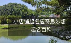 善于发挥想象力,打造独特品牌-小店铺起名百科