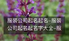 寻找完美的品牌名称:一个全面的服装公司起名指南