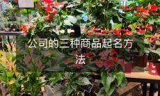 三种商品命名策略供公司选择:创新、描述性及组合式命名