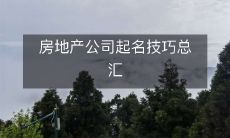 所有你需要了解的房地产公司起名技巧全集